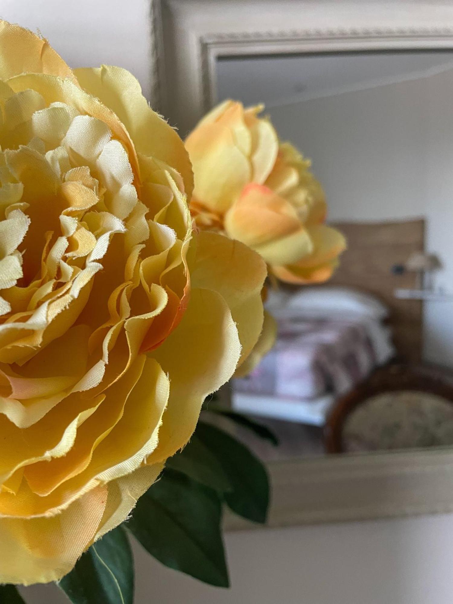 Carrù La Rocca Bed & Breakfast エクステリア 写真